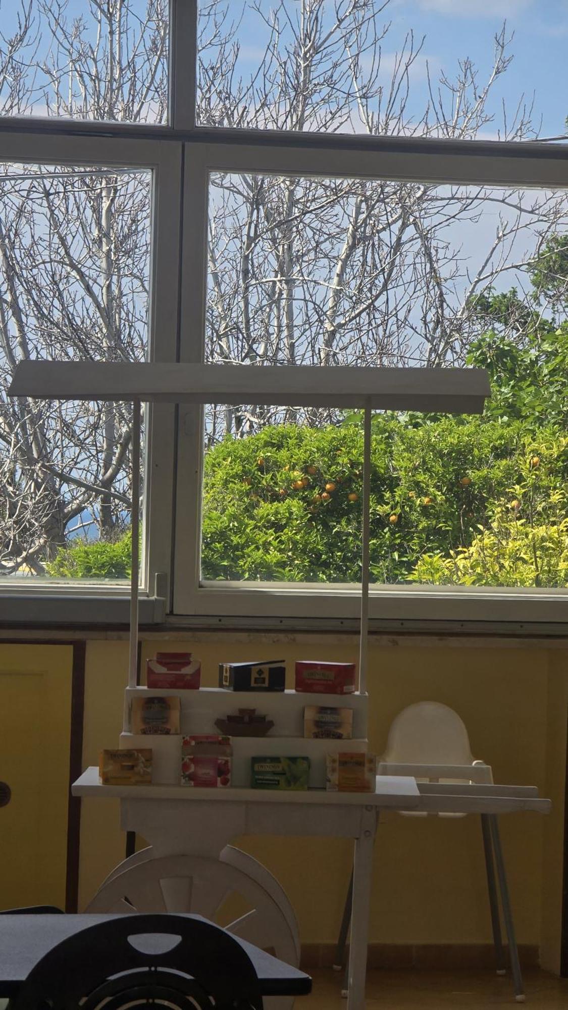Hotel Savoia プロチーダ エクステリア 写真